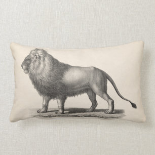 Coussin Rectangle Croquis Brodtmann Lion