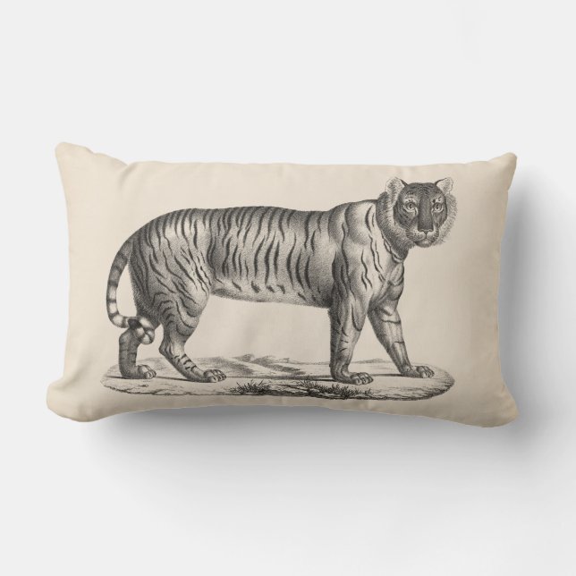 Coussin Rectangle Croquis Brodtmann Tiger (Recto)