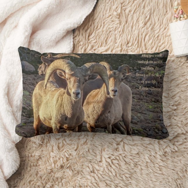 Coussin Rectangle Curieux Bighorn Mouton Ram Et Ewes Du Désert (Couverture)