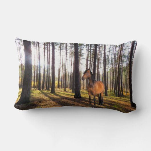 Coussin Rectangle Cushion (Verso)