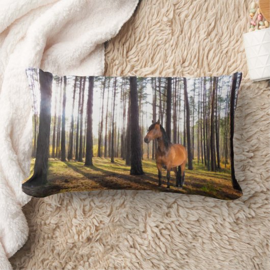 Coussin Rectangle Cushion (Couverture)