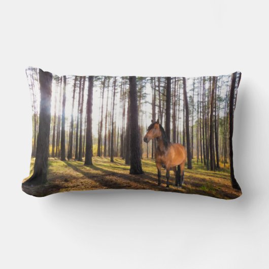 Coussin Rectangle Cushion (Recto)