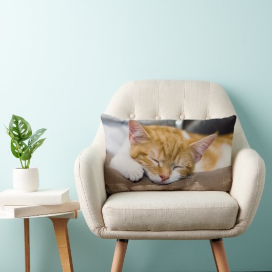 Coussin Rectangle Cute Kitten (Chaise)