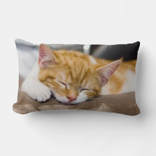 Coussin Rectangle Cute Kitten (Recto)