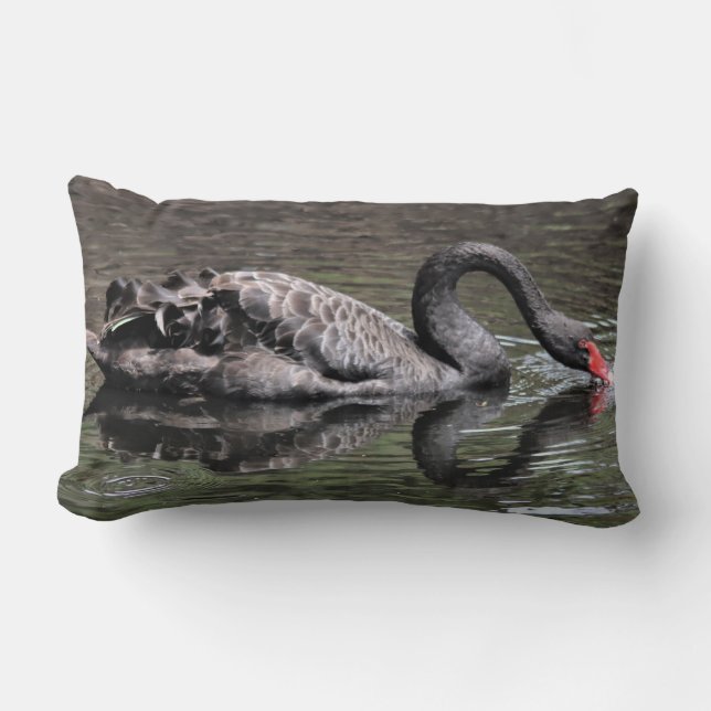 Coussin Rectangle Cygne noir (Recto)