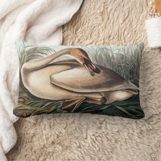 Coussin Rectangle Cygne trompette par John James Audubon