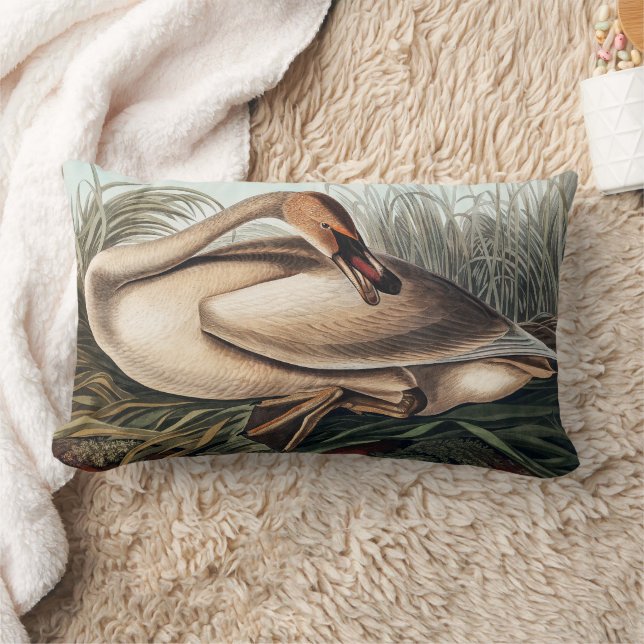 Coussin Rectangle Cygne trompette par John James Audubon   (Couverture)