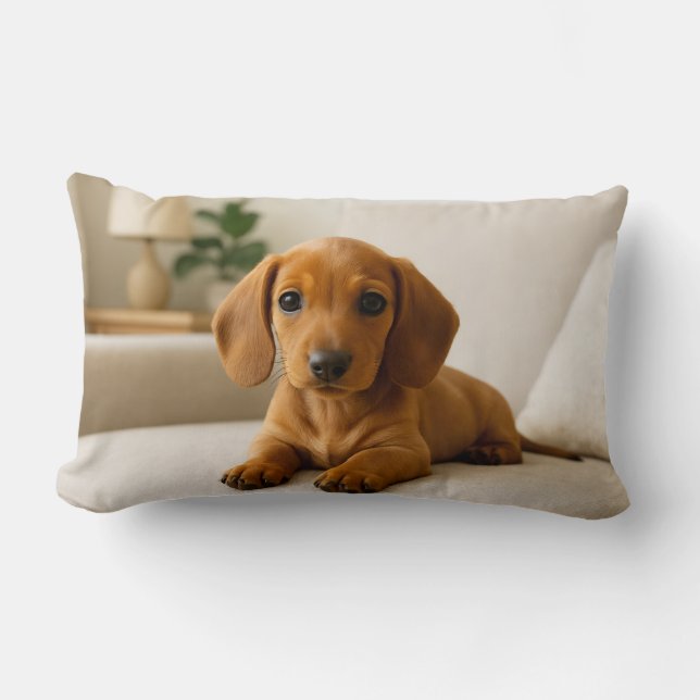 Coussin Rectangle Dachshund confortable (Recto)