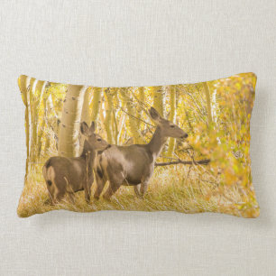 Coussin Rectangle Daine et faon de cerfs communs de mule dans le pr