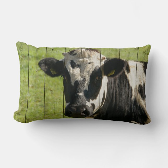 COUSSIN RECTANGLE DANS LE CHAMP... (Recto)