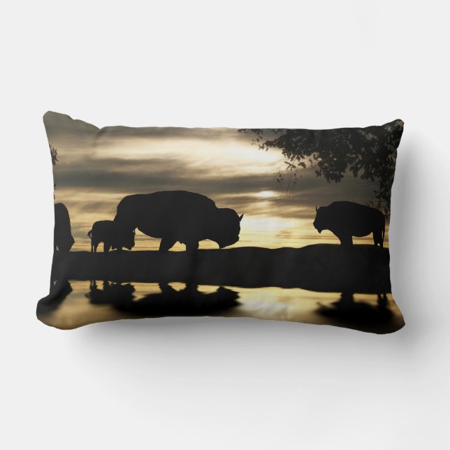 Coussin Rectangle Décor de Buffalo du Sud-Ouest Jeu d'oreiller (Recto)