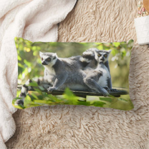 Coussin Rectangle Des lémuriens de Madagascar surpris