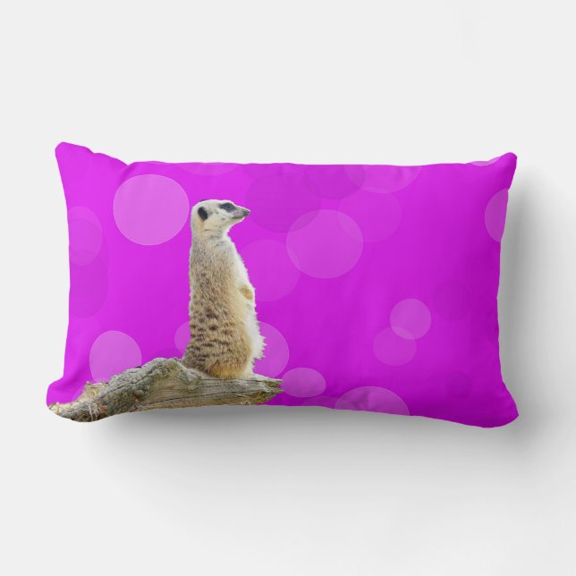 Coussin Rectangle Design Meerkat D'Alerte Rose Et Violet, (Recto)