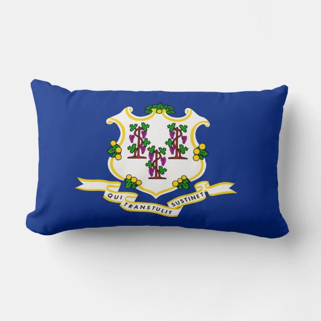 Coussin Rectangle Dessin du drapeau de l'État du Connecticut (Recto)