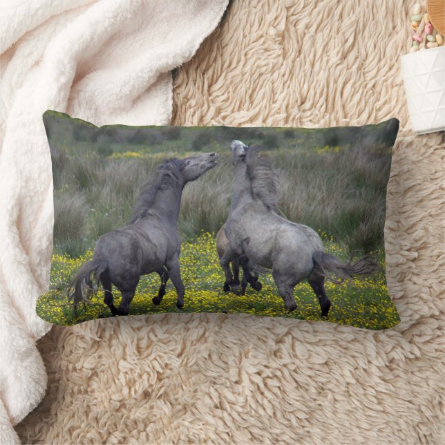 Coussin Rectangle Deux chevaux ruent et jouent (Couverture)
