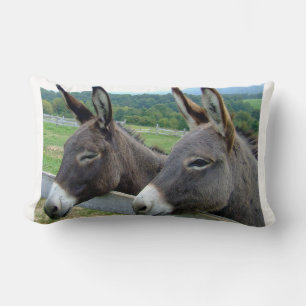 Coussin Rectangle Donkey Mule ferme animal pays Destinée