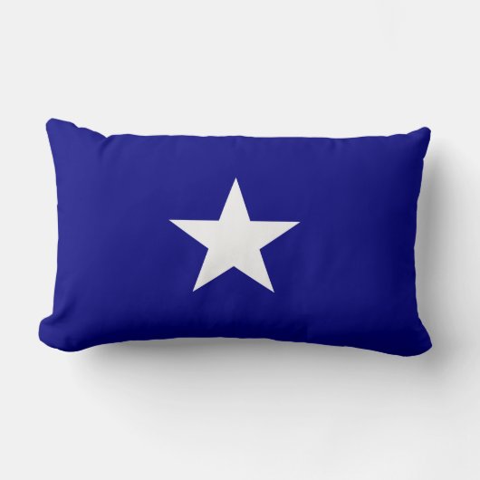 Coussin Rectangle Drapeau bleu Bonnie (Recto)