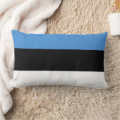 Coussin Rectangle Drapeau de l'Estonie (Couverture)