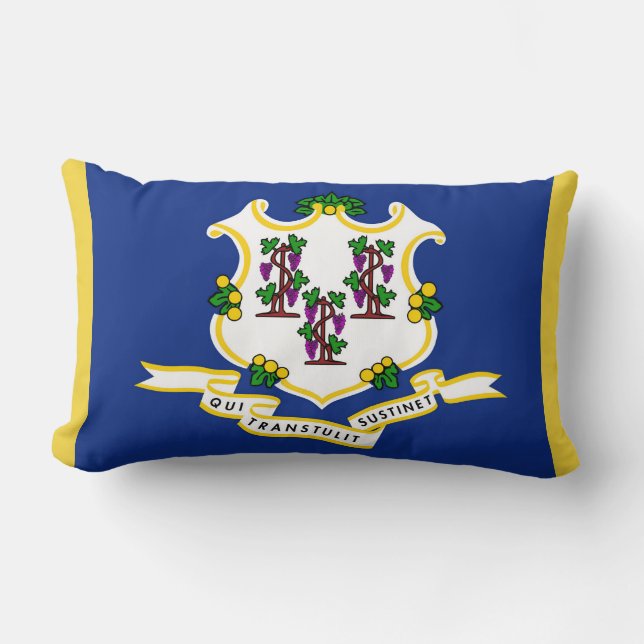 Coussin Rectangle Drapeau d'état Connecticut Imprimer Patriotique (Recto)
