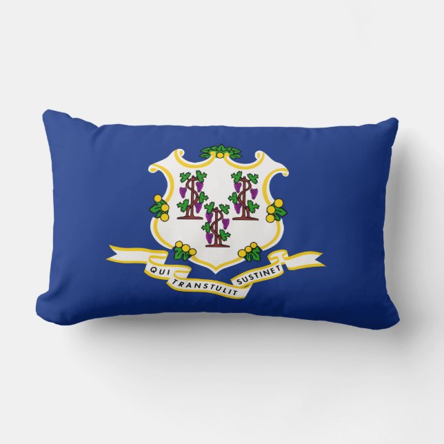Coussin Rectangle Drapeau d'État du Connecticut (Recto)