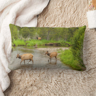 Coussin Rectangle Élans traversant le fleuve Colorado