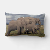 Coussin Rectangle Éléphant d'Afrique bébé avec famille (Verso)