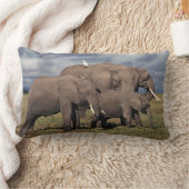 Coussin Rectangle Éléphant d'Afrique bébé avec famille (Couverture)
