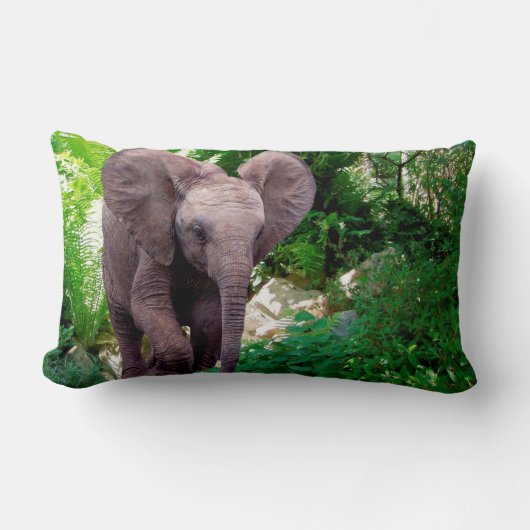 Coussin Rectangle Éléphant et jungle (Recto)