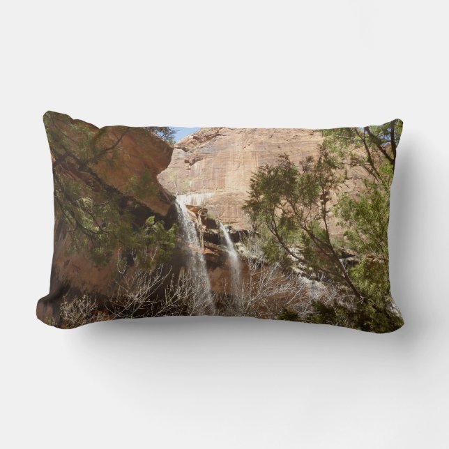 Coussin Rectangle Emerald Pool Falls I du parc national de Zion (Recto)