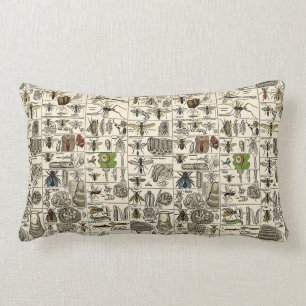 Coussin Rectangle Entomologie vintage