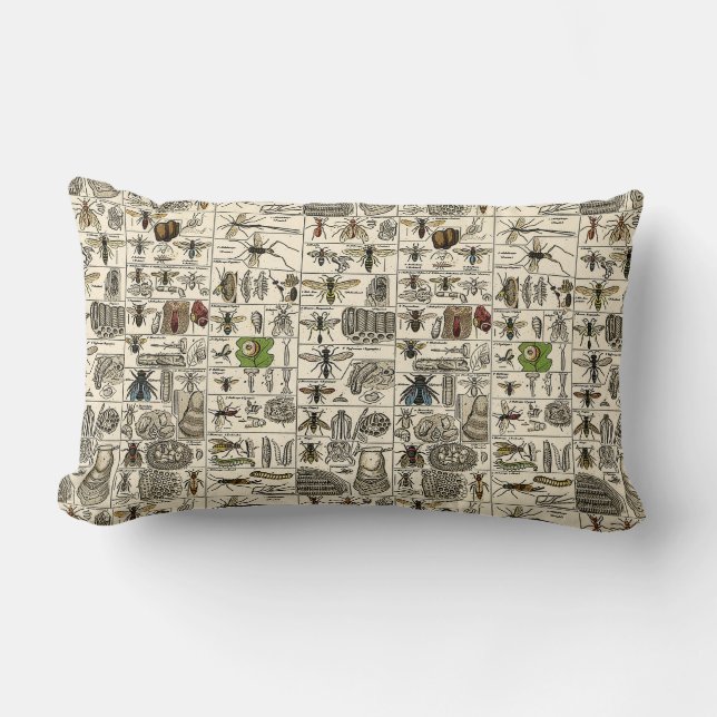 Coussin Rectangle Entomologie vintage (Recto)