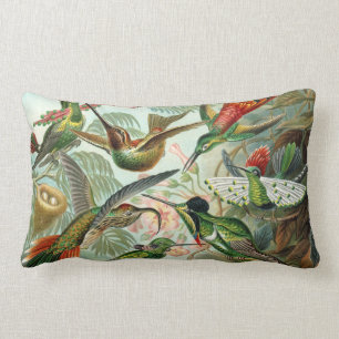 Coussin Rectangle Ernst Haeckel Hummingbirds - Les formes artistique