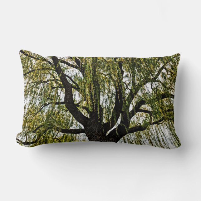 Coussin Rectangle espoirs printaniers atténués (Recto)