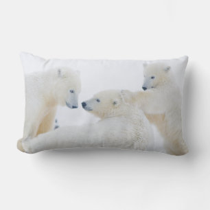 Coussin Rectangle États-Unis, Alaska, 1002 Plaine côtière de l'Arcti
