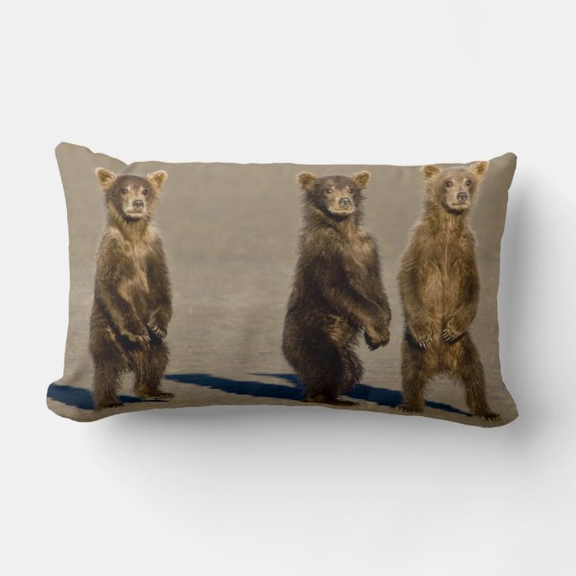 Coussin Rectangle États-Unis. Alaska. Oursons brun côtier (Recto)