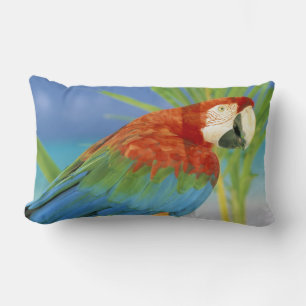 Coussin Rectangle États-Unis, Hawaï. Perroquet
