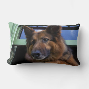 Coussin Rectangle États-Unis, Oregon, Portland. Griff le long poil