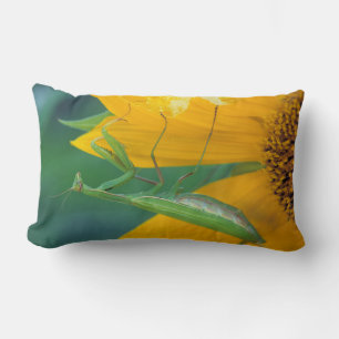 Coussin Rectangle États-Unis, Pennsylvanie. Mante religieuse femelle