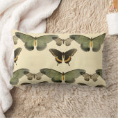 Coussin Rectangle été de papillon (Couverture)