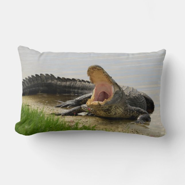 Coussin Rectangle Êtes-vous courageux ? Sommeil avec moi alligator (Recto)