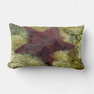 Coussin Rectangle Étoile de mer sous-marine aux Bahamas