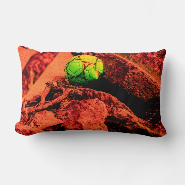 Coussin Rectangle explorateur de moustiques (Recto)
