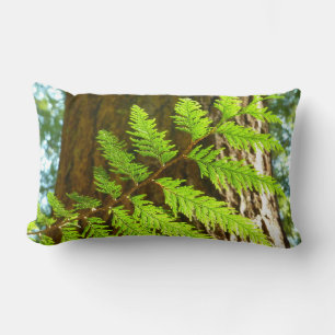 Coussin Rectangle Faits saillants d'un séquoia botanique