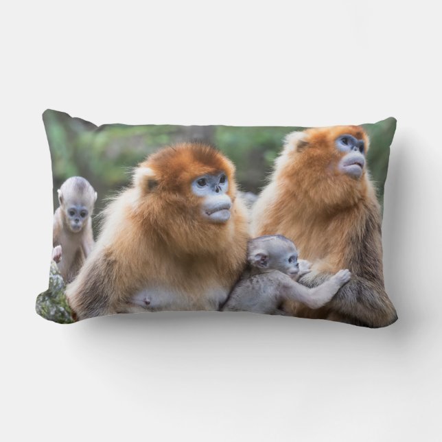 Coussin Rectangle Famille de singes à nez retroussé dorés (Recto)