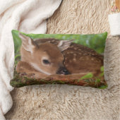 Coussin Rectangle Faon de Cerf à queue blanche âgé de deux jours, Ke (Couverture)