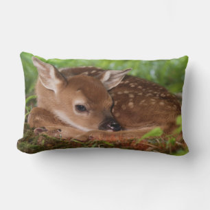 Coussin Rectangle Faon de Cerf à queue blanche âgé de deux jours, Ke