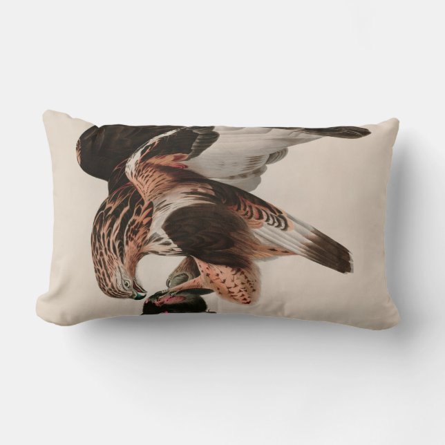 Coussin Rectangle Faucon à pattes rousses d'Amérique Audubon Imprime (Recto)
