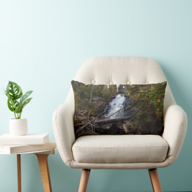 Coussin Rectangle Fern Falls à Rocky Mountain National Park (Chaise)
