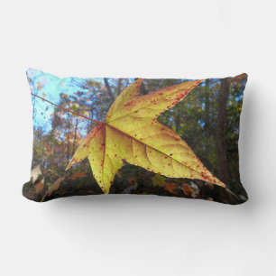 Coussin Rectangle Feuille de Liquidambar Glowing dans la Forêt