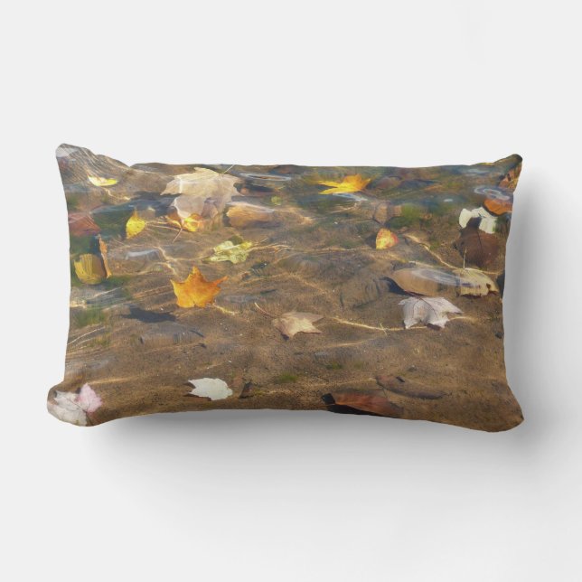 Coussin Rectangle Feuilles d'automne dans l'étang de l'eau Photograp (Recto)